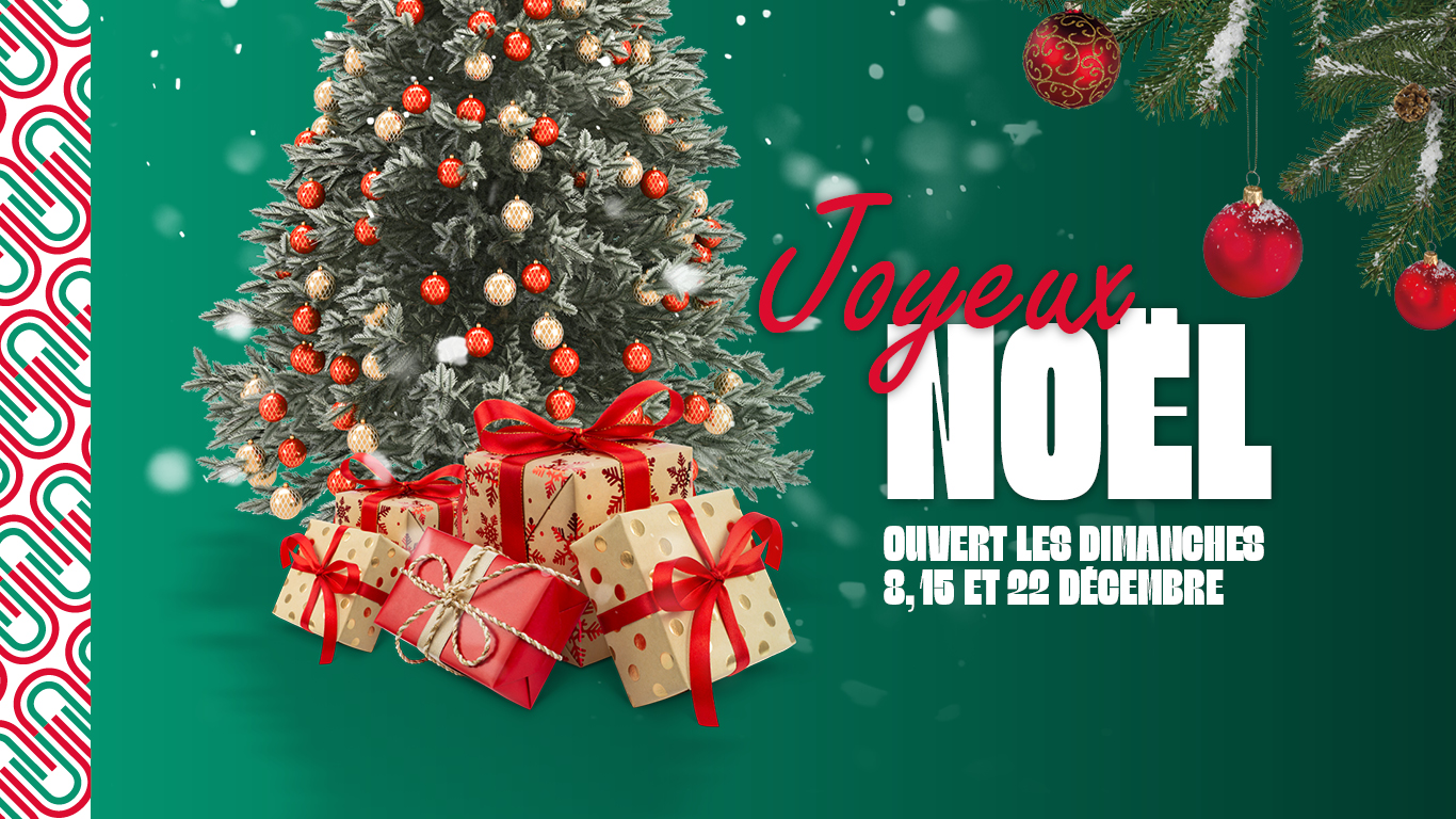 ✨ UN PROGRAMME DE NOËL FÉÉRIQUE ✨